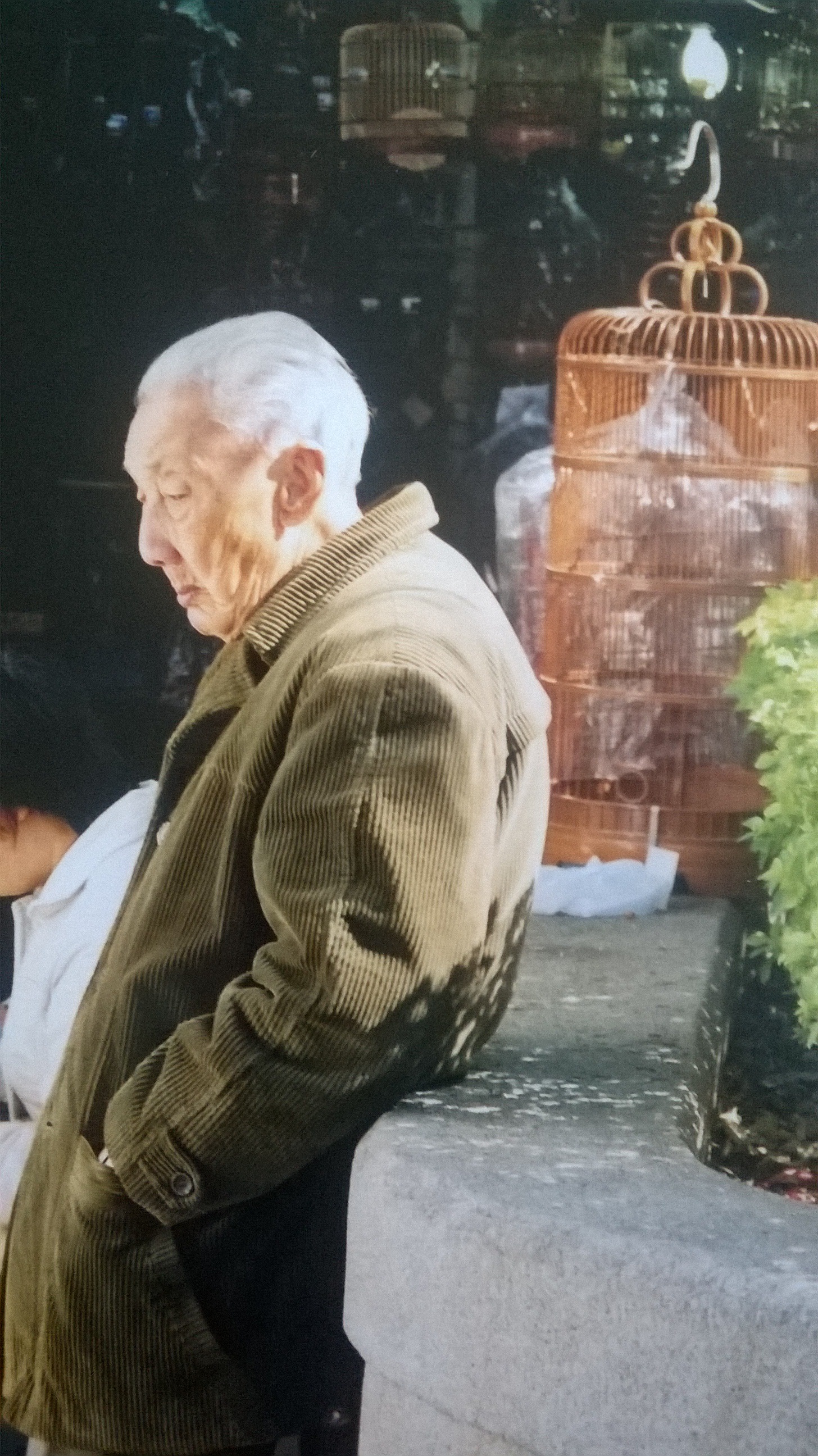 Old man and songbird