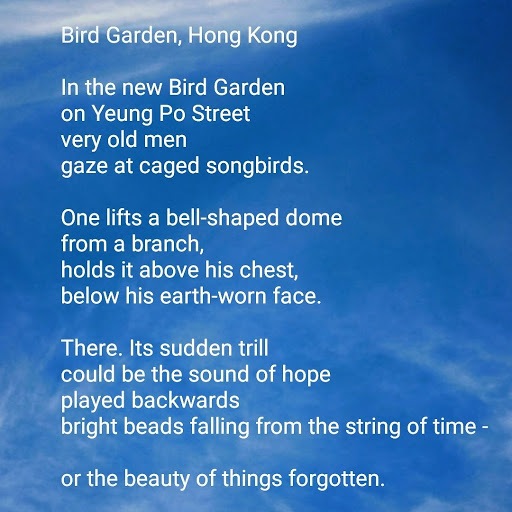 Bird Garden, Hong Kong