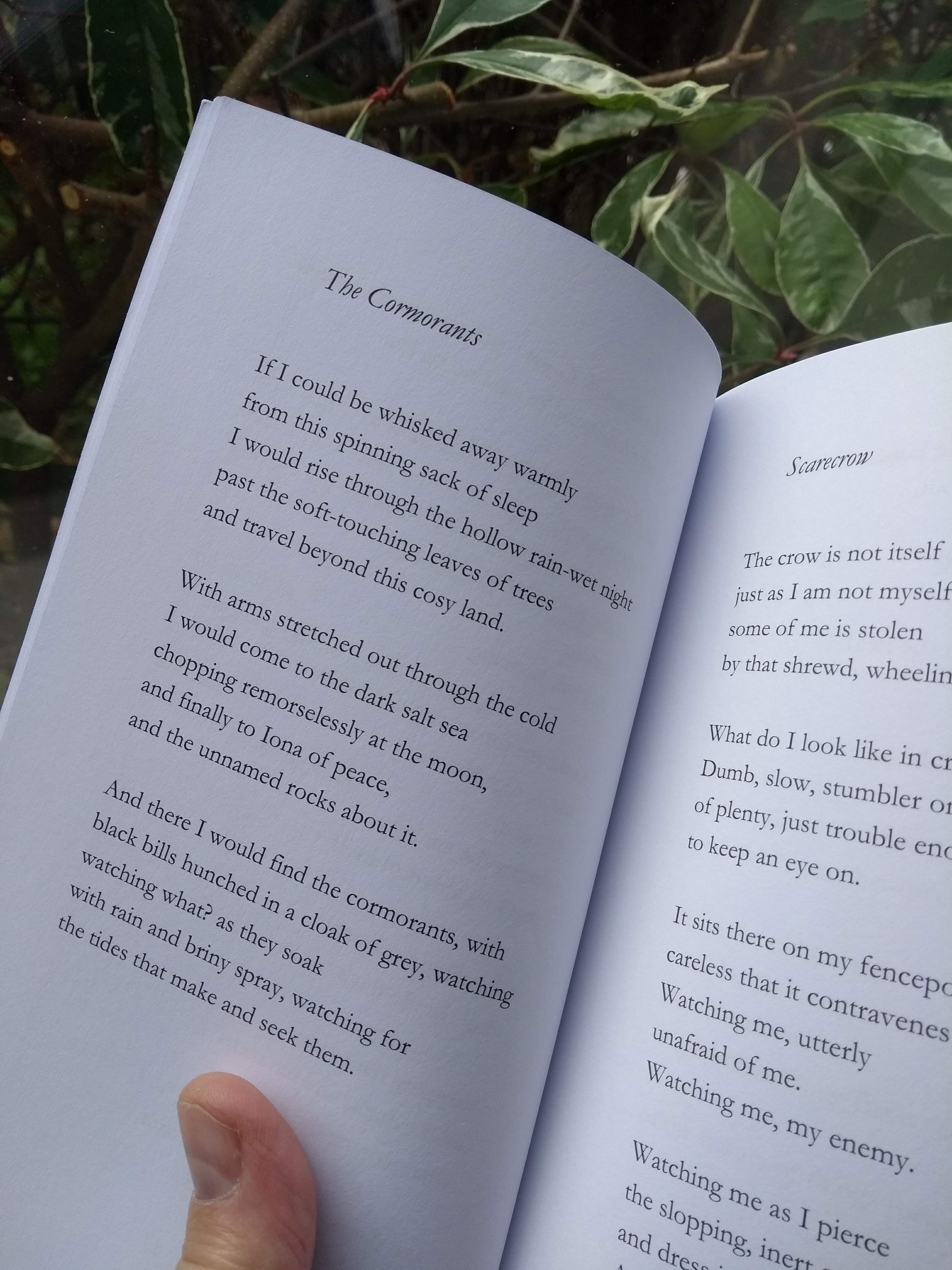 Up in the Air poetry book interior