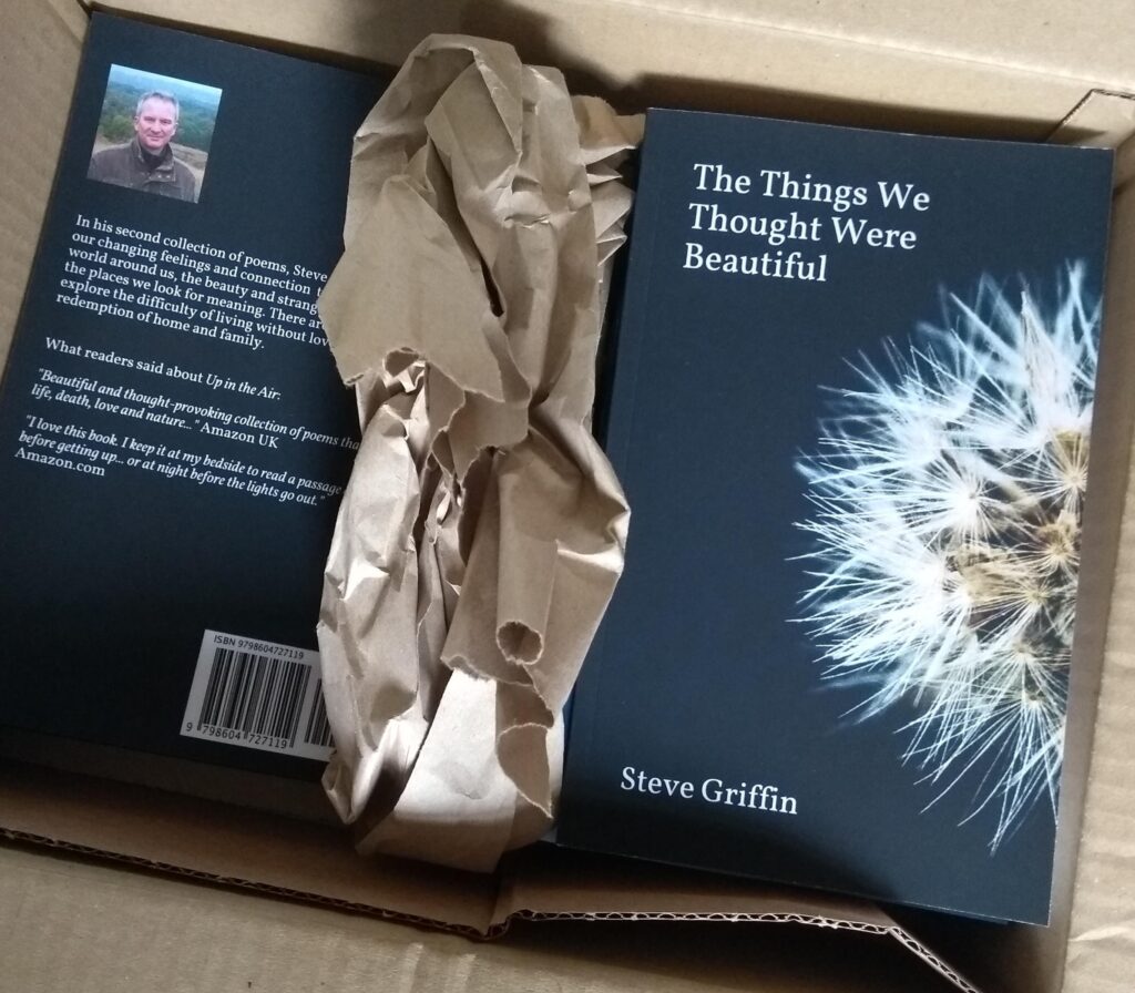 The Things We Thought Were Beautiful Poetry Book - my year in writing