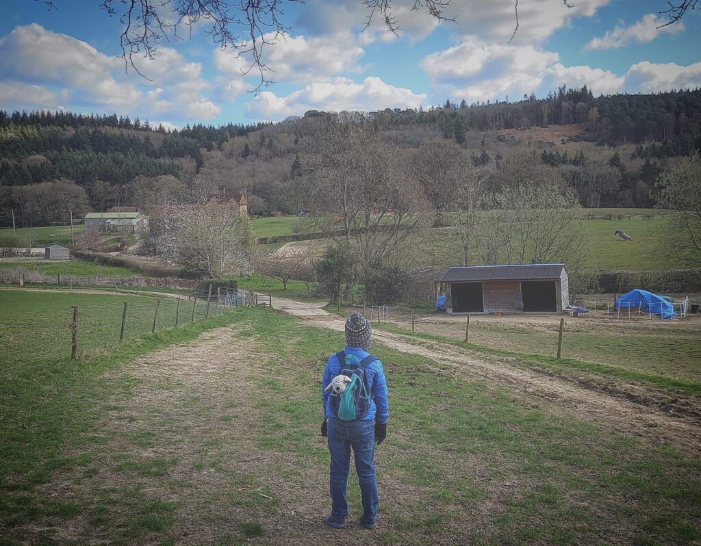 Alice and the Devil photo inspiration