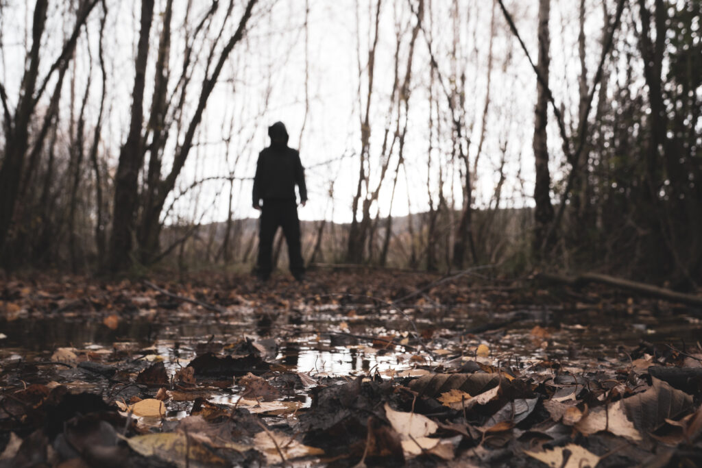 And a lone wanderer, The Man in the Woods