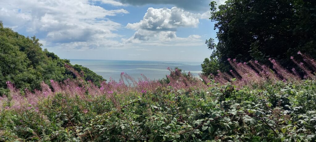 Black Beacon inspiration: South Downs National Landscape