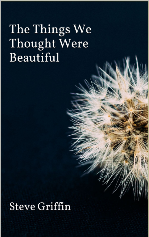 Cover of The Things We Thought Were Beautiful by Steve Griffin